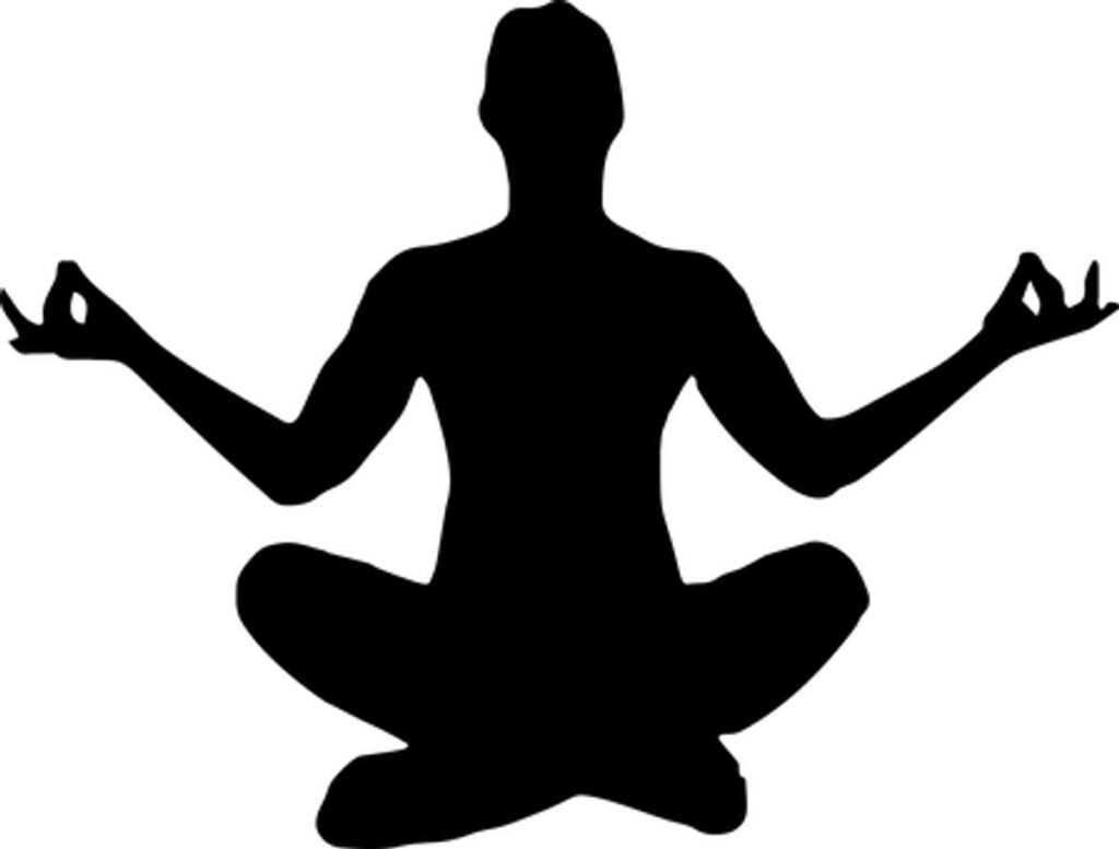 Gaia Yoga App
