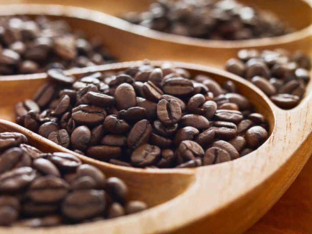 The best Guide to Human Bean Espresso Taste, Origins, and More