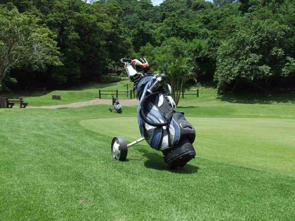 Stylish Skins Leather Golf Bags Trends